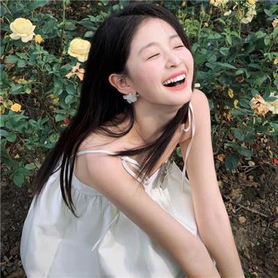 山茶花飘零